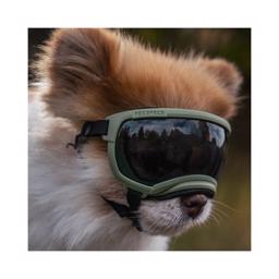 Hundglasögon REX Specs V2 Sol- och skyddsglasögon XSMALL Svart